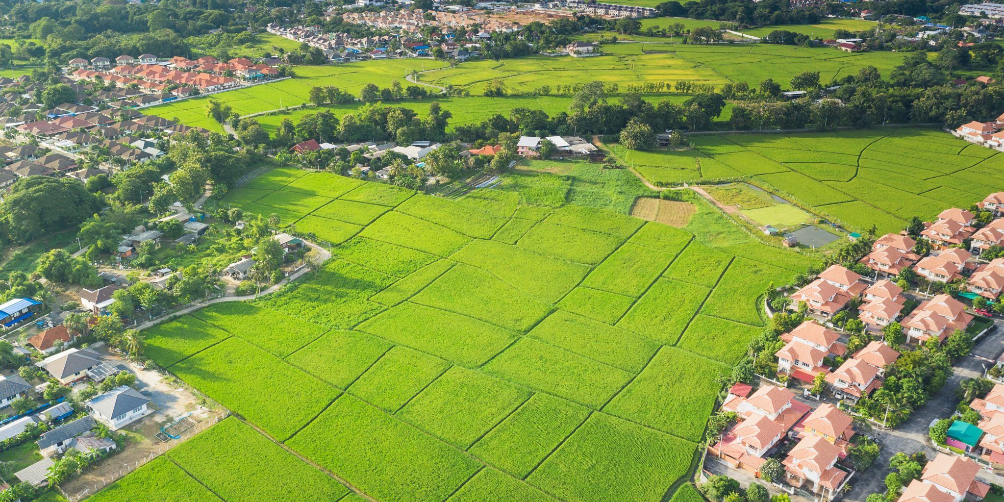 Cum să îți alegi terenul pentru casă ?