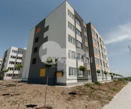 Apartament, COJUȘNA