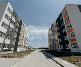 Квартира, КОЖУШНА