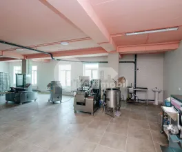 Пом. для производства, ОРХЕЙ