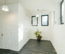 Oficiu, Centru, ALEXEI MATEEVICI