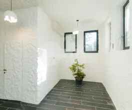 Oficiu, Centru, ALEXEI MATEEVICI