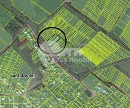 Земельный участок, ЯЛОВЕНЫ