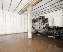 Spațiu comercial, STĂUCENI