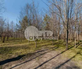 Земельный участок, КОЖУШНА