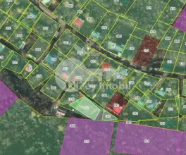 Земельный участок, ТРУШЕНЫ