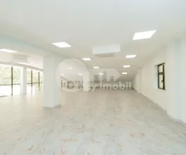 Spațiu comercial, Botanica, INDEPENDENȚEI