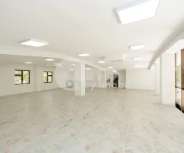 Spațiu comercial, Botanica, INDEPENDENȚEI