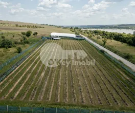 Земельный участок, ЯЛОВЕНЫ