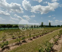 Земельный участок, ЯЛОВЕНЫ