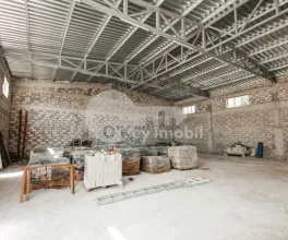 Depozit, Botanica, HALTEI