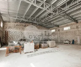 Depozit, Botanica, HALTEI