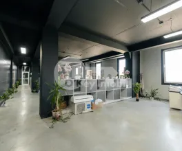 Depozit, Botanica, DACIA