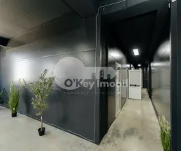 Depozit, Botanica, DACIA