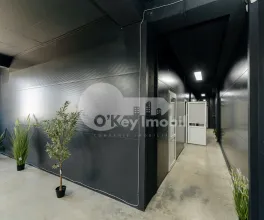 Склад, Ботаника, ДАЧИЯ