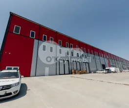 Склад, Ботаника, ДАЧИЯ