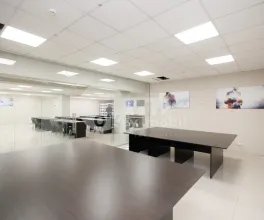 Офис, Ботаника, ДЕЧЕБАЛ