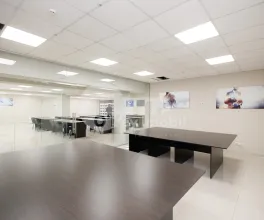 Oficiu, Botanica, DECEBAL