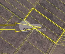 Земельный участок, ЯЛОВЕНЫ