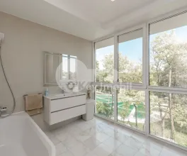 Penthouse, Centru, TIMIȘ