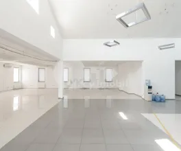 Oficiu, Centru, ALEXANDRU HÂJDEU