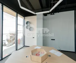 Oficiu, Botanica, CONSTANTIN BRÂNCUȘI