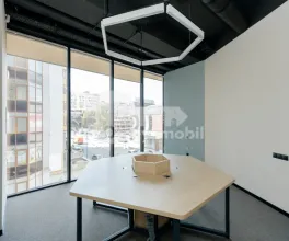 Oficiu, Botanica, CONSTANTIN BRÂNCUȘI