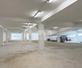 Производственное помещение, Рышкановка, СЕРДЖИУ РЭДЭУЦАНУ