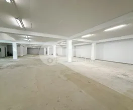 Производственное помещение, Рышкановка, СЕРДЖИУ РЭДЭУЦАНУ