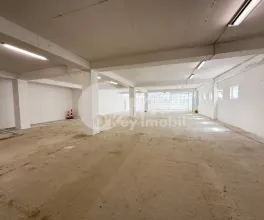 Производственное помещение, Рышкановка, СЕРДЖИУ РЭДЭУЦАНУ