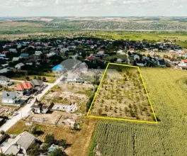 Земельный участок, СЫНДЖЕРА