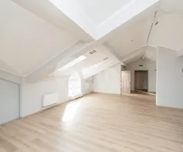 Офис, Центр, БЭНУЛЕСКУ БОДОНИ