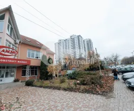 Oficiu, Botanica, BUREBISTA