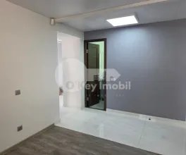 Oficiu, Centru, GRIGORE VIERU