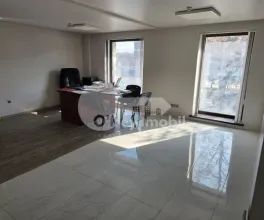 Oficiu, Centru, GRIGORE VIERU