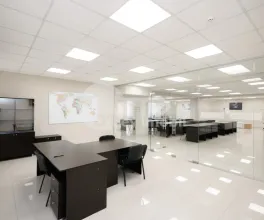 Офис, Ботаника, ДЕЧЕБАЛ