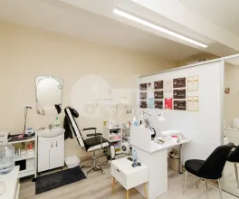 Oficiu, Telecentru, ION INCULEȚ