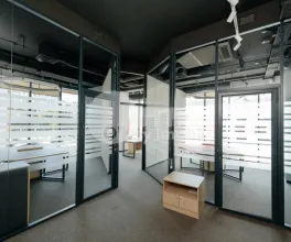 Oficiu, Botanica, CONSTANTIN BRÂNCUȘI