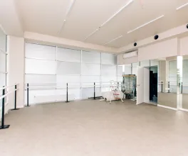 Комм. помещение, Рышкановка, БОГДАН ВОЕВОД