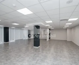 Офис, Ботаника, ДАЧИЯ