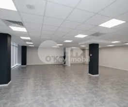 Офис, Ботаника, ДАЧИЯ