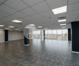 Oficiu, Botanica, BD. DACIA