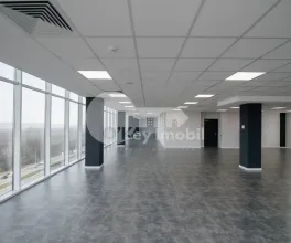 Oficiu, Botanica, BD. DACIA