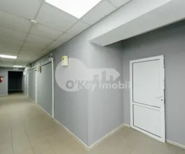 Офис, Буюканы, КОЛУМНА