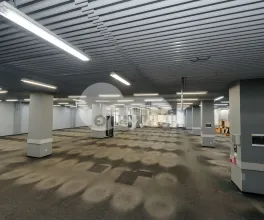 Комм. помещение, Ботаника, ДАЧИЯ