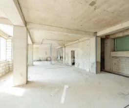 Комм. помещение, Рышкановка, Н. ДИМО