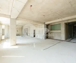 Комм. помещение, Рышкановка, Н. ДИМО