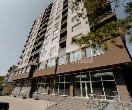 Комм. помещение, Рышкановка, Н. ДИМО