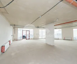 Комм. помещение, Буюканы, ИОАНА РАДУ