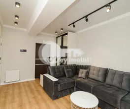 Квартира, Ботаника, ТРАНДАФИРИЛОР